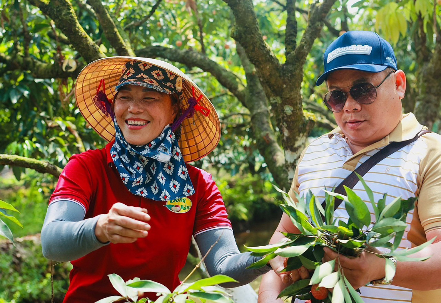 Bán tấm chân tình trong từng quả vải, cả đời trồng cây chưa ai ngờ tới