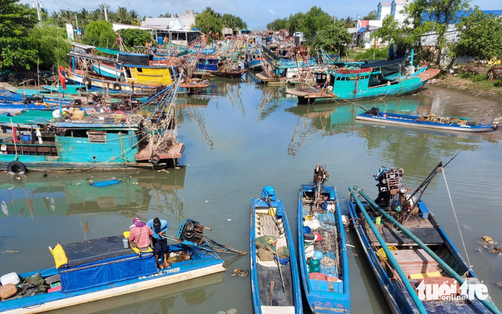 Kiên Giang cấm tàu nhỏ bắt sò huyết, nghêu ven biển trong 6 tháng