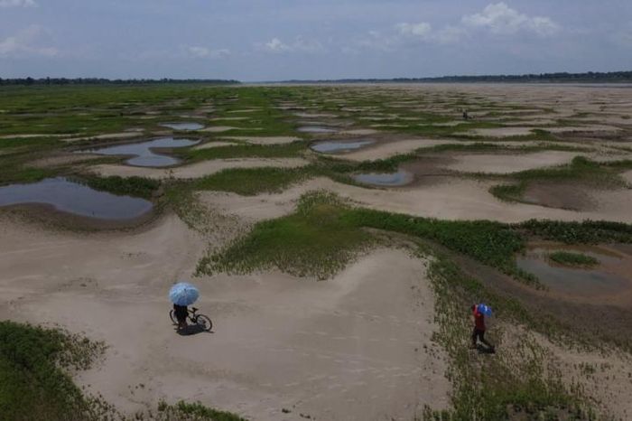 COP28: Năm 2023 nóng nhất trong lịch sử